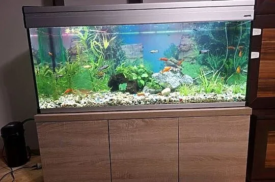 Akrawium 240 l, Podkarpackie, Harta