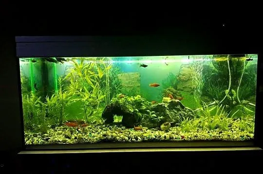 Akrawium 240 l, Podkarpackie, Harta