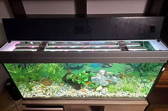 Akrawium 240 l, Podkarpackie, Harta