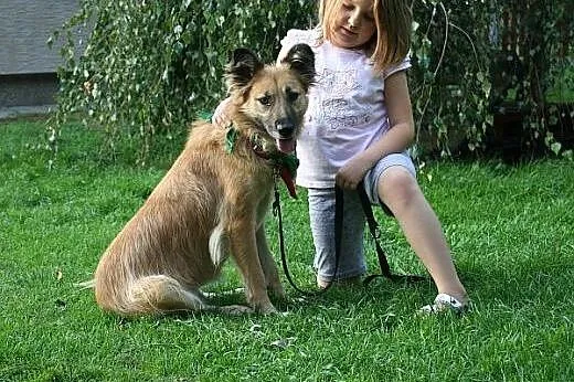 AURIS piękna, młoda, łagodna do dzieci i kotów sun