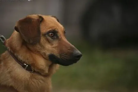 Kania prosi już jedynie o bezpieczny kącik... jej 