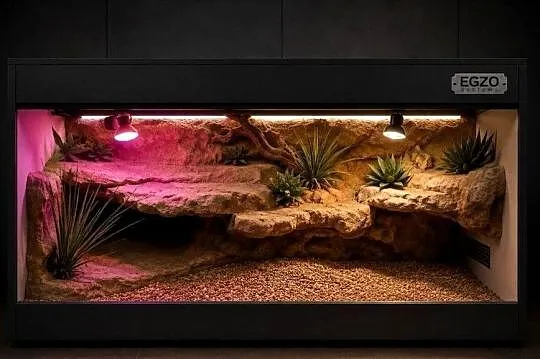 Terrarium hodowlane dla żółwia greckiego agamy brodatej