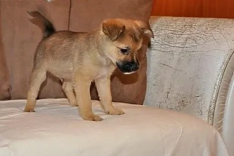 KOMU?! KOMU?! 2 msc MUMINEK CHCE DO DOMU!!!,  mazo