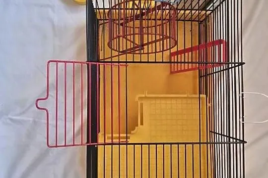 Klatka dla chomika, myszki, innych gryzoni żołta, Małopolskie, Brzesko