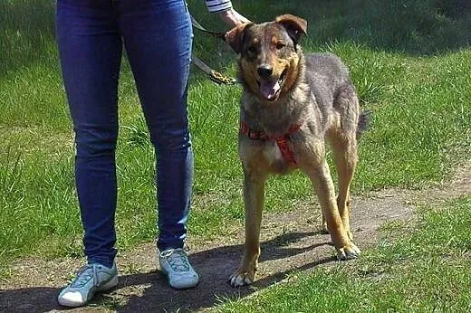 Simon- bardzo pragnę byś przytulił mnie,  mazowieckie Nowy Dwór Mazowiecki