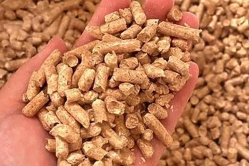 Podłoże dla gryzoni naturalny PELLET żwirek dla kota królika 10kg, Opolskie, Opole