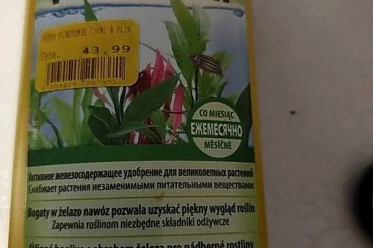Dla BOJOWNIKA, Pomorskie, Kawle Górne