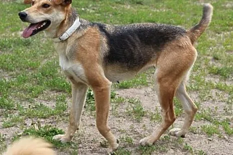 Dina.Juz pewnie niedlugo przybedziesz...,  kujawsk