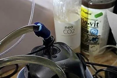Sprzedam akwarium 30 l kostkę  optiwhite, cały komplet z życiem, Śląskie, Toszek