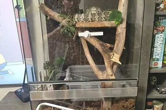Terrarium 80x50x55 z wyposażeniem