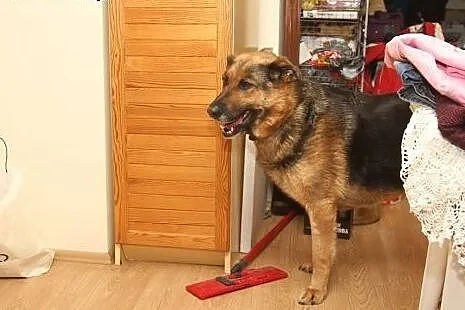 Marylka kocha ludzi i świat daj jej wspaniały dome