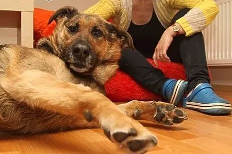 Marylka kocha ludzi i świat daj jej wspaniały dome