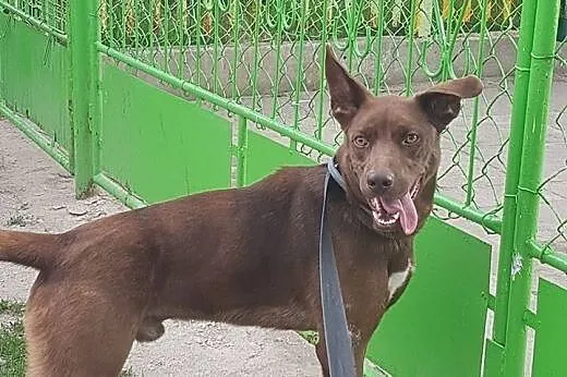 Zecik - po raz trzeci za kratami...,  dolnośląskie