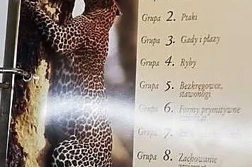 Encyklopedia  Zwierząt  Świata od  A  do  Z