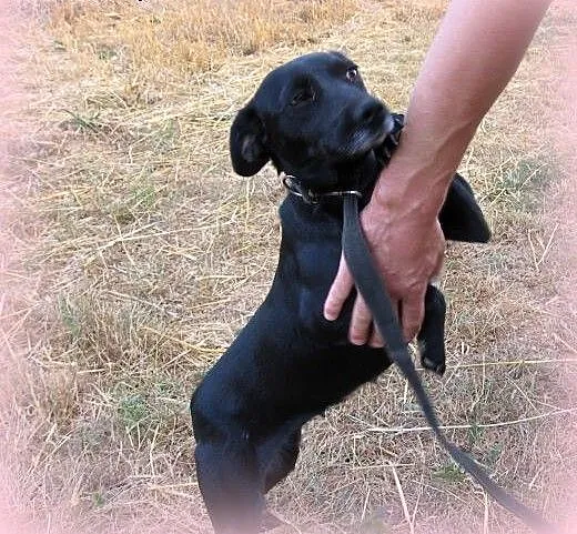 Matka z synem do wspolnej adopcji!!!, świętokrzys