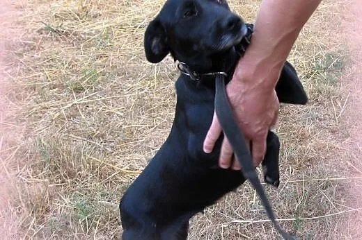 Matka z synem do wspolnej adopcji!!!, świętokrzyskie Kielce