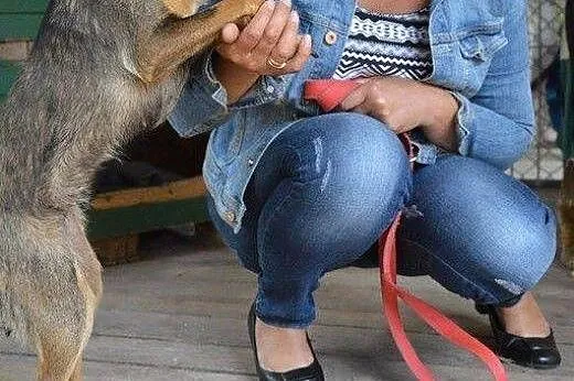 Zojka drobna kruszynka w wieku 1,5 roku-adoptuj!!,  mazowieckie Warszawa