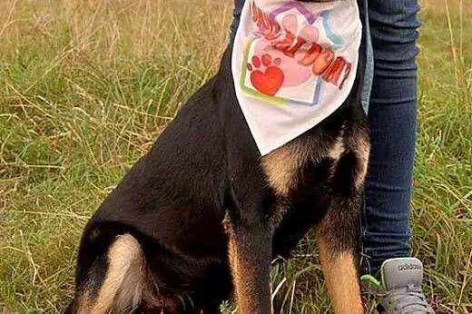 Młody, żywiołowy, kochający dzieci Niko o cudownym