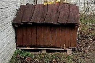 Buda dla psa, Mazowieckie, Owadów