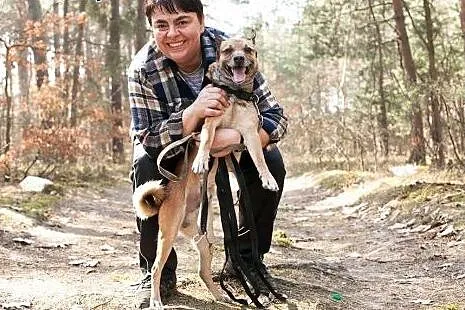 Pikuś na dom czeka już ponad 4 lata...,  Kundelki 