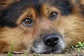 Misiek i Lena są dla siebie wszystkim co mają. Zaw