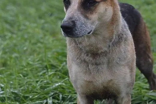 Przyjazna, uśmiechnięta od ucha do ucha Jadźka :),