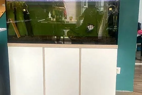Akwarium 240