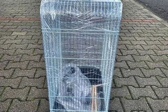 Klatki dla dużych papug i mniejszych, Dolnośląskie, Wrocław