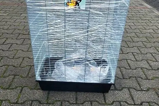 Klatki dla dużych papug i mniejszych, Dolnośląskie, Wrocław