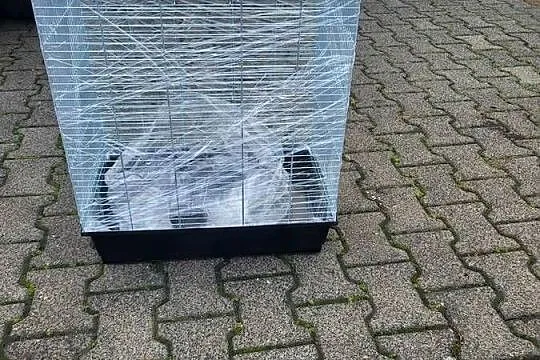 Klatki dla dużych papug i mniejszych, Dolnośląskie, Wrocław