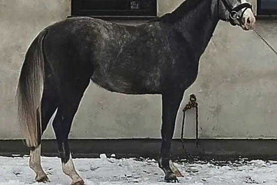TRENINGI dla osób które wierzą, że kluczem do sukcesu jest połączenie pasji z pracą., , 
