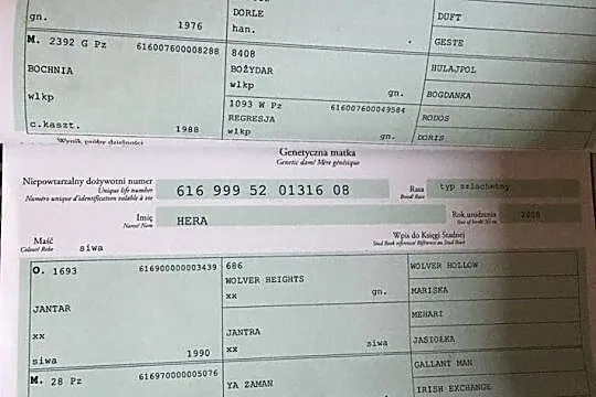 TRENINGI dla osób które wierzą, że kluczem do sukcesu jest połączenie pasji z pracą., , 