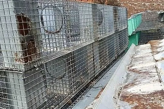 Klatki dla królików, Wielkopolskie, Koźmin Wielkopolski