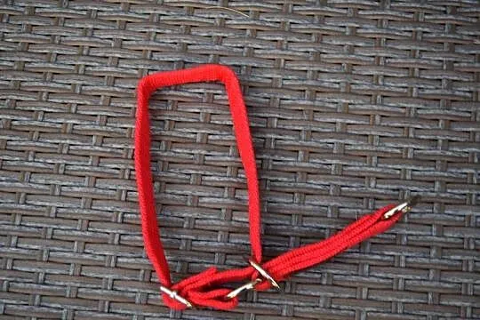 Obroża Pół Zaciskowa Regulowana 25-40 cm*Olsztyn Dajtki, Warmińsko-mazurskie, Olsztyn