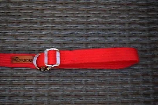 Obroża Pół Zaciskowa Regulowana 25-40 cm*Olsztyn Dajtki, Warmińsko-mazurskie, Olsztyn