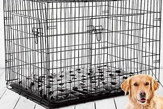 Klatka dla zwierzat SIMPLY Pet Crate, Lubelskie, Zamość