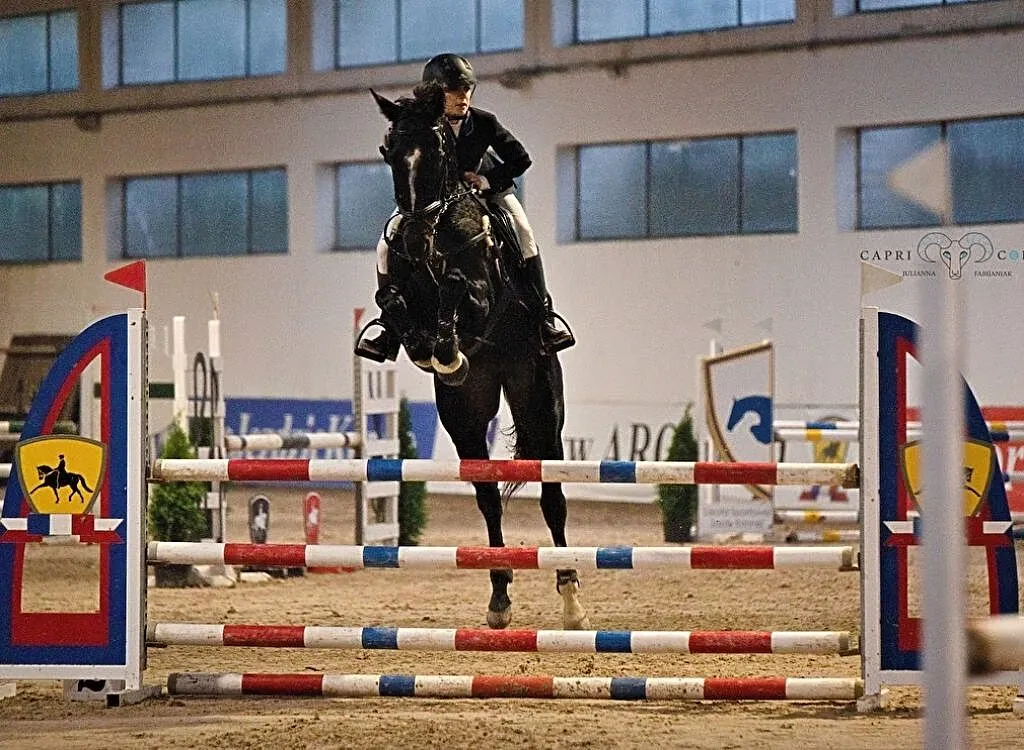 Wałach do sportu!, Mazowieckie, Żyrardów