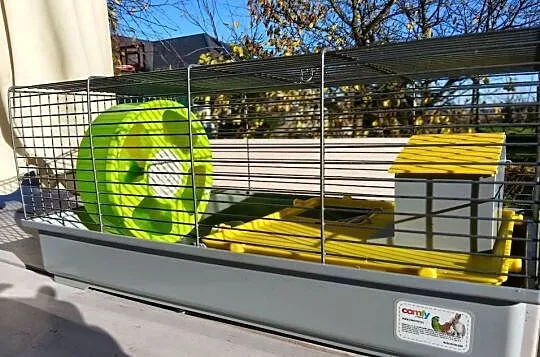 Klatka dla chomika, Wielkopolskie, Kępno