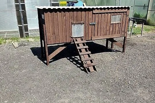 Kurnik dla kur, Kujawsko-pomorskie, Jarantowice