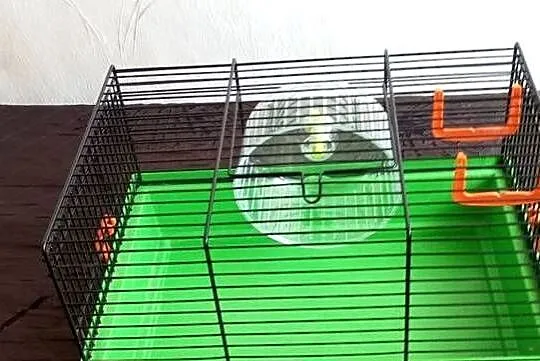 Klatka dla chomików wymiary szerokość 21 cm długość 33 cm