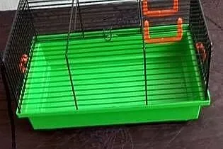 Klatka dla chomików wymiary szerokość 21 cm długość 33 cm, Wielkopolskie, Trzcianka