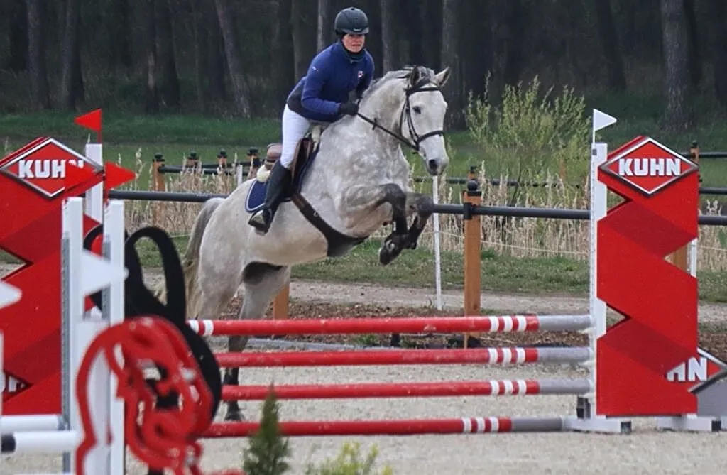 Barczero - wszechstronny 5 latek, , Murowana