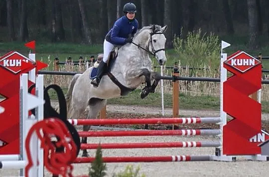 Barczero - wszechstronny 5 latek, , Murowana