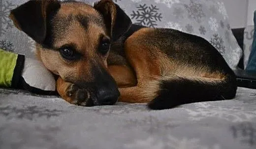 Antek śliczny na swój sposób, przytulanka kochana,