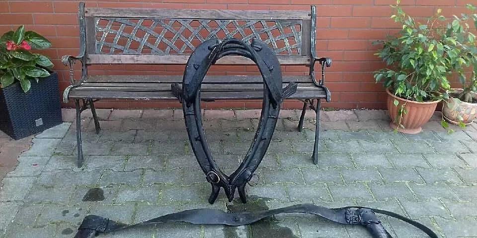 Chomąta końskie, Świętokrzyskie, Wiślica