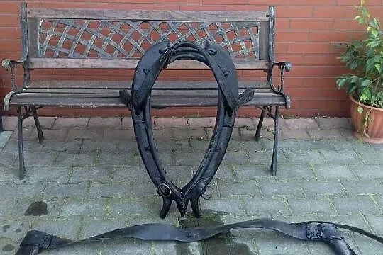 Chomąta końskie, Świętokrzyskie, Wiślica