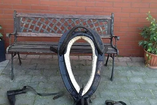 Chomąta końskie, Świętokrzyskie, Wiślica