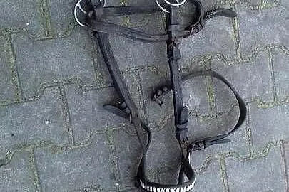 Chomąta końskie, Świętokrzyskie, Wiślica