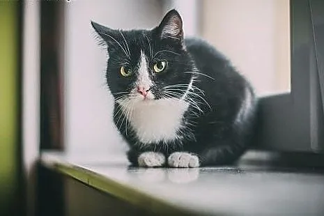 KOLENDRA & KMINEK –  10 mc uratowane