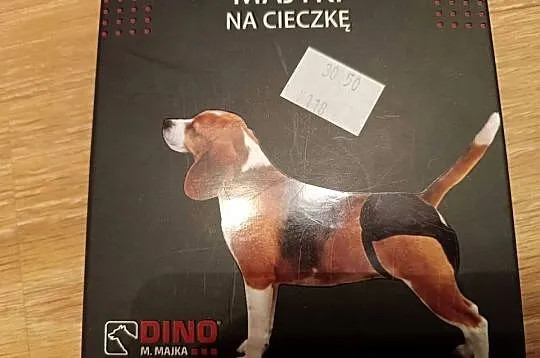 Majtki na cieczkę DINO 42-48cm NOWE!, Śląskie, Szczyrk